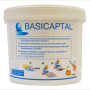 Basicaptal600X600